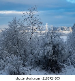 Beautiful Winter Landscape. Snow On Trees. Frozen Power Line Tower In Background.