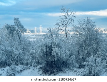 Beautiful Winter Landscape. Snow On Trees. Frozen Power Line Tower In Background.