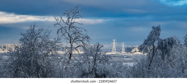 Beautiful Winter Landscape. Snow On Trees. Frozen Power Line Tower In Background.