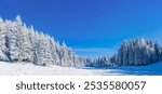 "Beautiful winter landscape with snow-covered trees and fields under a bright blue sky. Serene nature scene with crisp white snow, perfect for holiday, nature, or seasonal themes."