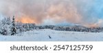 Beautiful winter landscape with snow-covered trees and fields under a picturesque evening cloudy sky. Serene nature scene with fir forest