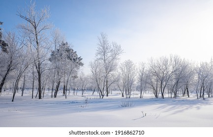 Beautiful winter landscape with snow-covered trees. Blue sky and textured snow. Winter's tale. - Powered by Shutterstock