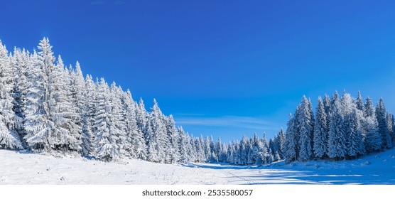 "Beautiful winter landscape with snow-covered trees and fields under a bright blue sky. Serene nature scene with crisp white snow, perfect for holiday, nature, or seasonal themes." - Powered by Shutterstock