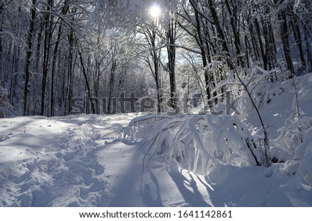 Image, Stock Photo Tracks in the snow Winter