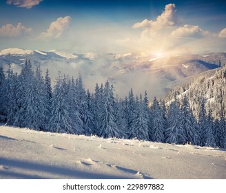 Beautiful winter morning in the mountains - Shutterstock ID 229897882