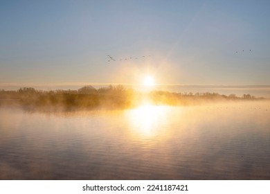 Beautiful winter morning, sunrise on lake the Netherlands. High quality photo - Powered by Shutterstock