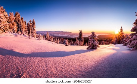 Beautiful Winter Nature At Dawn