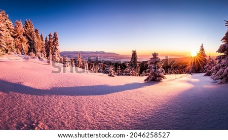 Beautiful winter nature at dawn