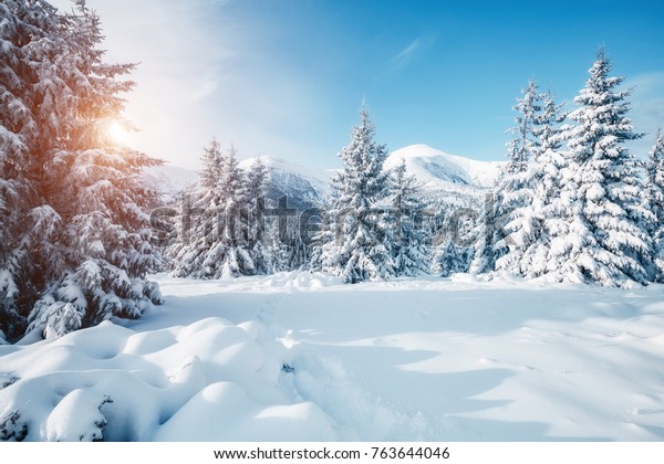 美しい冬の自然の風景 素晴らしい山景色 森林の景勝図 スキー場の