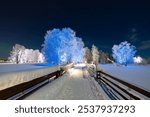 Beautiful winter night landscape. Finland