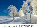 Beautiful winter night landscape. Finland