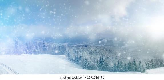 Beautiful Winter Panorama Landscape With Snow Covered Trees