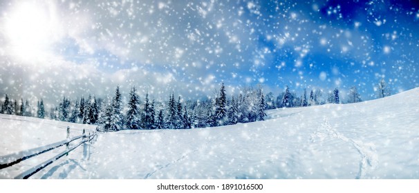 Beautiful Winter Panorama Landscape With Snow Covered Trees