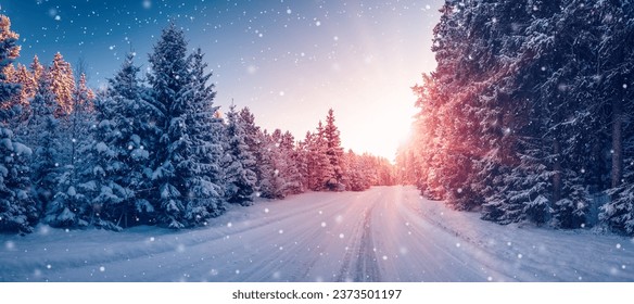 Beautiful winter road in natural sunny park. - Powered by Shutterstock