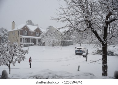 A Beautiful Winter Scene During A Snow Storm In Raleigh