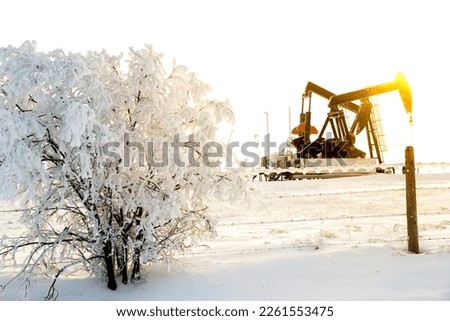 Beautiful winter scene in the oilfield. Pump jack in the morning light nd the bush covered with snow near the fence.