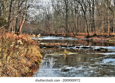 Beautiful Winter Scene Of Trees Surrounding A Creek.  Coal Creek  Fountain County