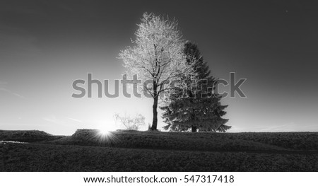 Similar – Wahner Heide ruhig Natur