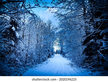 Beautiful Winter Scenery That Brings You Back To The Movie Frozen. 