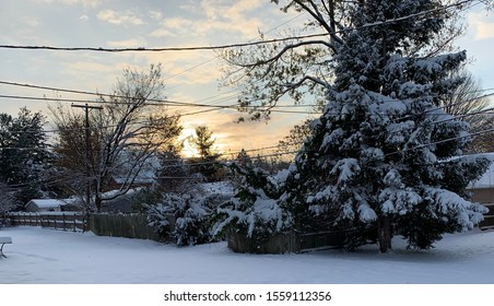 Beautiful Winter Scenery Troy Michigan. 