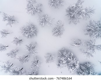 Beautiful winter scenery,drone view
