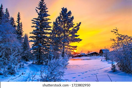 Beautiful Winter Snow Nature Landscape At Sunset