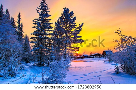Beautiful winter snow nature landscape at sunset