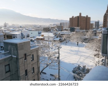 Beautiful Winter Snow  urban landscape - Powered by Shutterstock