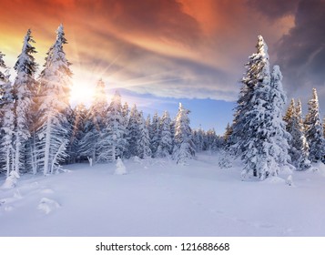 Beautiful Winter Sunrise In The Mountains. Dramatic Red  Sky