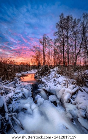 Beautiful winter sunrise on the forest glade