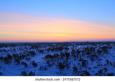 Beautiful winter sunrise in the swamp