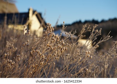 Beautiful Winter View Of Small Village, Germany. Frost, Grass And Sun Light.