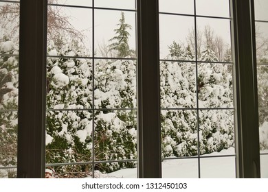 Beautiful Winter Yard Landscape Scene Staying Inside Warm House Looking Out Through Square Window Panes. Fresh Snow On Ground Outside With Line Of Evergreen Trees Covered In Show. Seattle, WA Area.