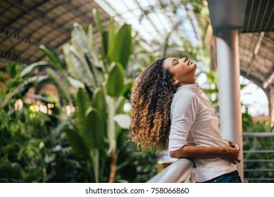 Beautiful Woman With Afro Curly Hair Posing With Head Tilted Up.