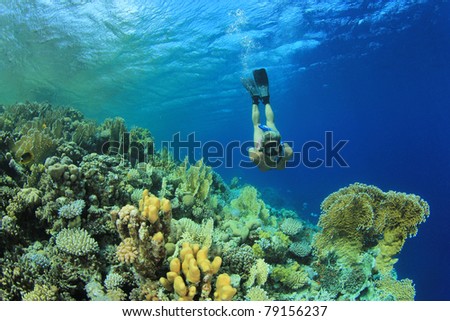 Beautiful woman in Bikini snorkels over coral reef in the Sea