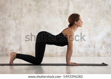 Beautiful woman in black sportswear practicing yoga, standing in asana paired with Cat Pose on the exhale, Cow pose, Bitilasana exercise, attractive girl working out at home or in yoga studio