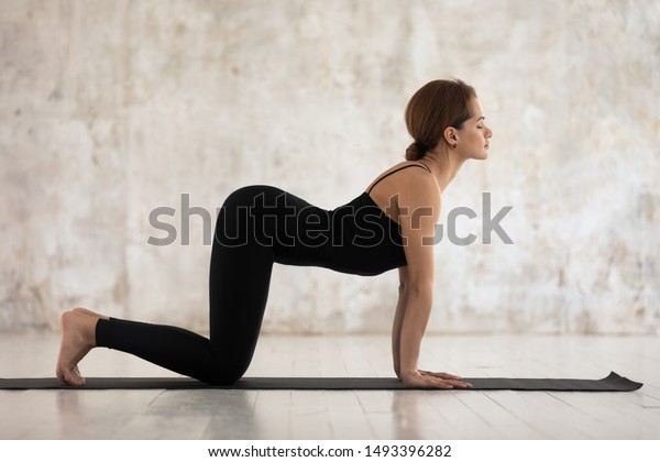Beautiful woman in black sportswear practicing\
yoga, standing in asana paired with Cat Pose on the exhale, Cow\
pose, Bitilasana exercise, attractive girl working out at home or\
in yoga studio