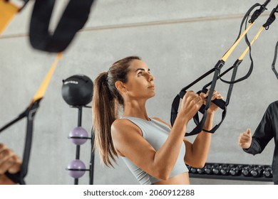 Beautiful Woman Concentrated With Suspension Strap Workout At Gym Hiit Class.