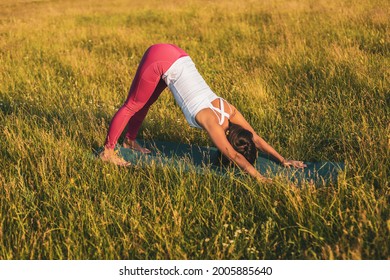 Beautiful Woman Doing Yoga In The Nature(Adho Mukha Svanasana,Downward Facing Dog Pose).