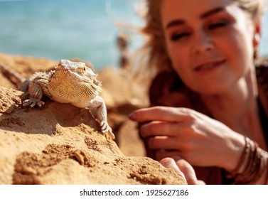 Beautiful Woman Dressed Cowboy Style Clothes Posing With Lizard Against The Camel Background. Bearded Agam The Home Pet Of Girl Walking In The Nature With Owner