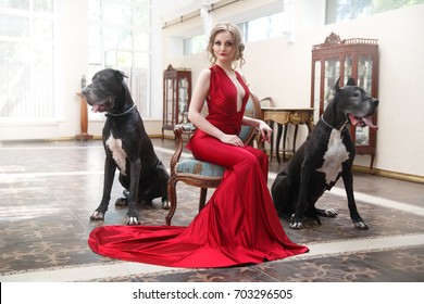 Beautiful Woman In An Elegant Red Dress With Two Dogs Of The Great Dane Dog In A Classic Interior.