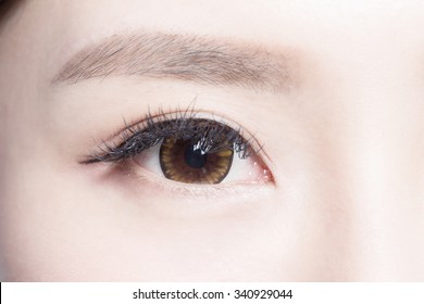 女性目日本人二重まぶたhd Stock Images Shutterstock