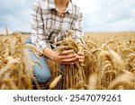 Beautiful woman farmer checks the quality of wheat. Ripe golden wheat ears in her hand of woman farmer. Harvesting. Agribusiness. 