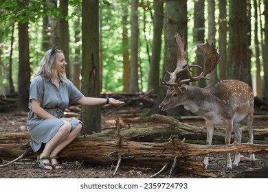 Beautiful woman feeding a deer in the evening forest in Denmark