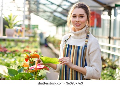 Beautiful woman gardener in white sweater and striped apron standing in greenhouse  - Powered by Shutterstock