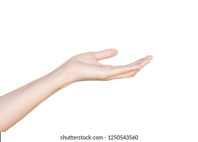 40,525 Woman holding something hand Images, Stock Photos & Vectors ...