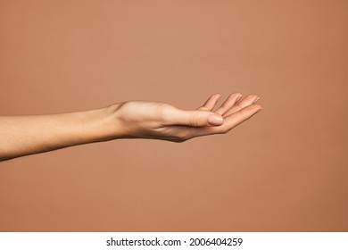 Beautiful woman hand isolated on brown background. Empty open female hand on cream background with copy space. Close up of elegant palm faced upwards with space for your product.