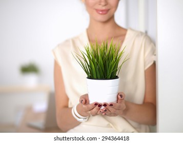 Beautiful Woman Holding Pot With A Plant .