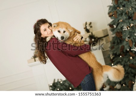 beautiful woman hugs, cuddles with her akita inu dog. on a background of a Christmas tree dresser with candles in a decorated room. happy new year and merry christmas.