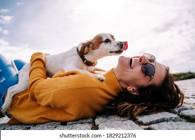 A beautiful woman laughing while her pet is licking her face in a sunny day in the park in Madrid. The dog is on its owner between her hands. Family dog outdoor lifestyle - Shutterstock ID 1829212376